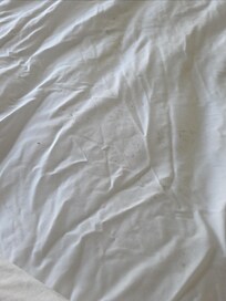 Look closer at the sheets covered in mole