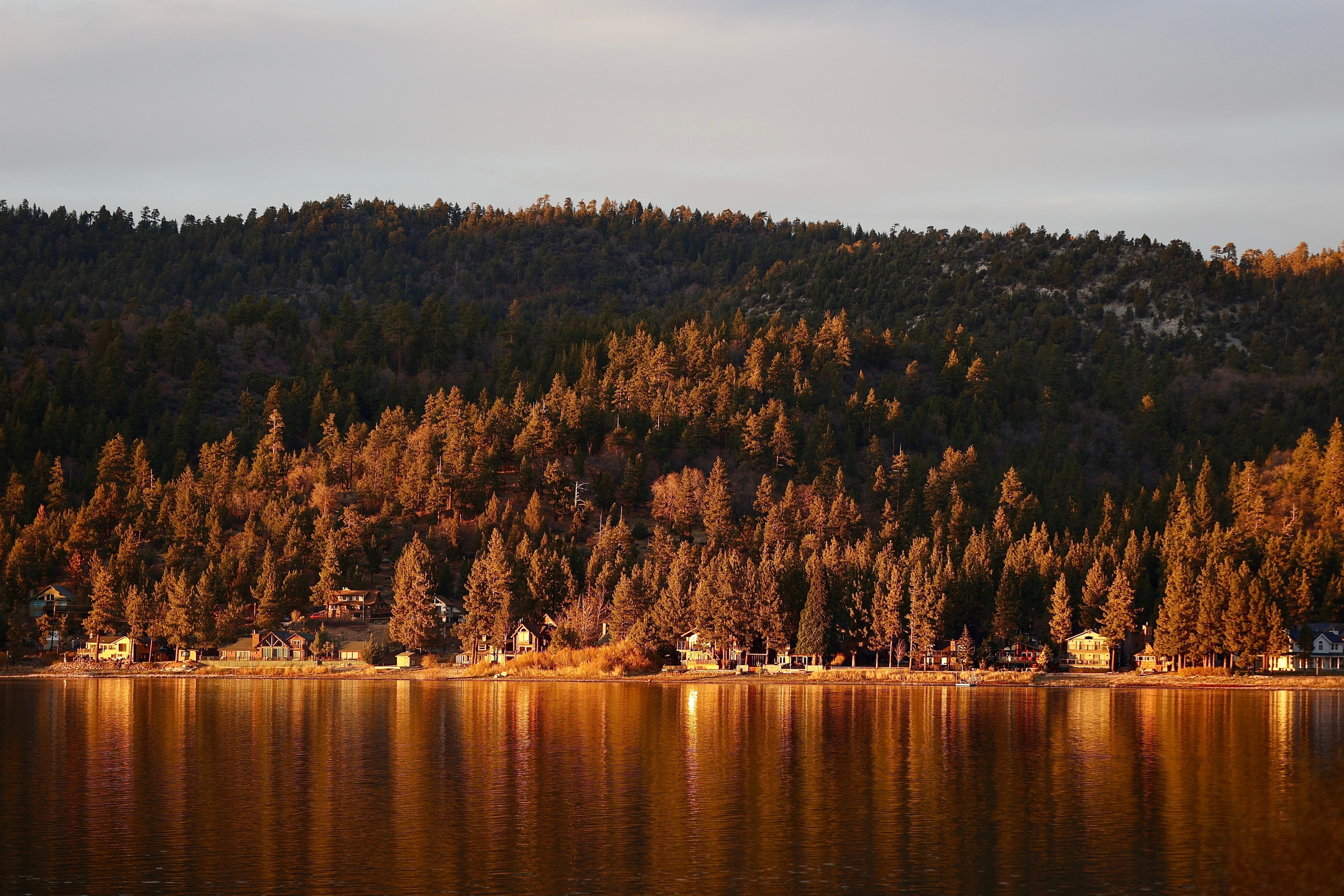 View from the house.  