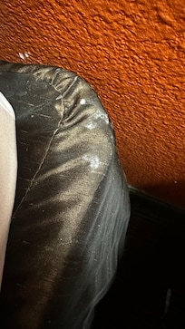 Mofo e sujeira na base da cama