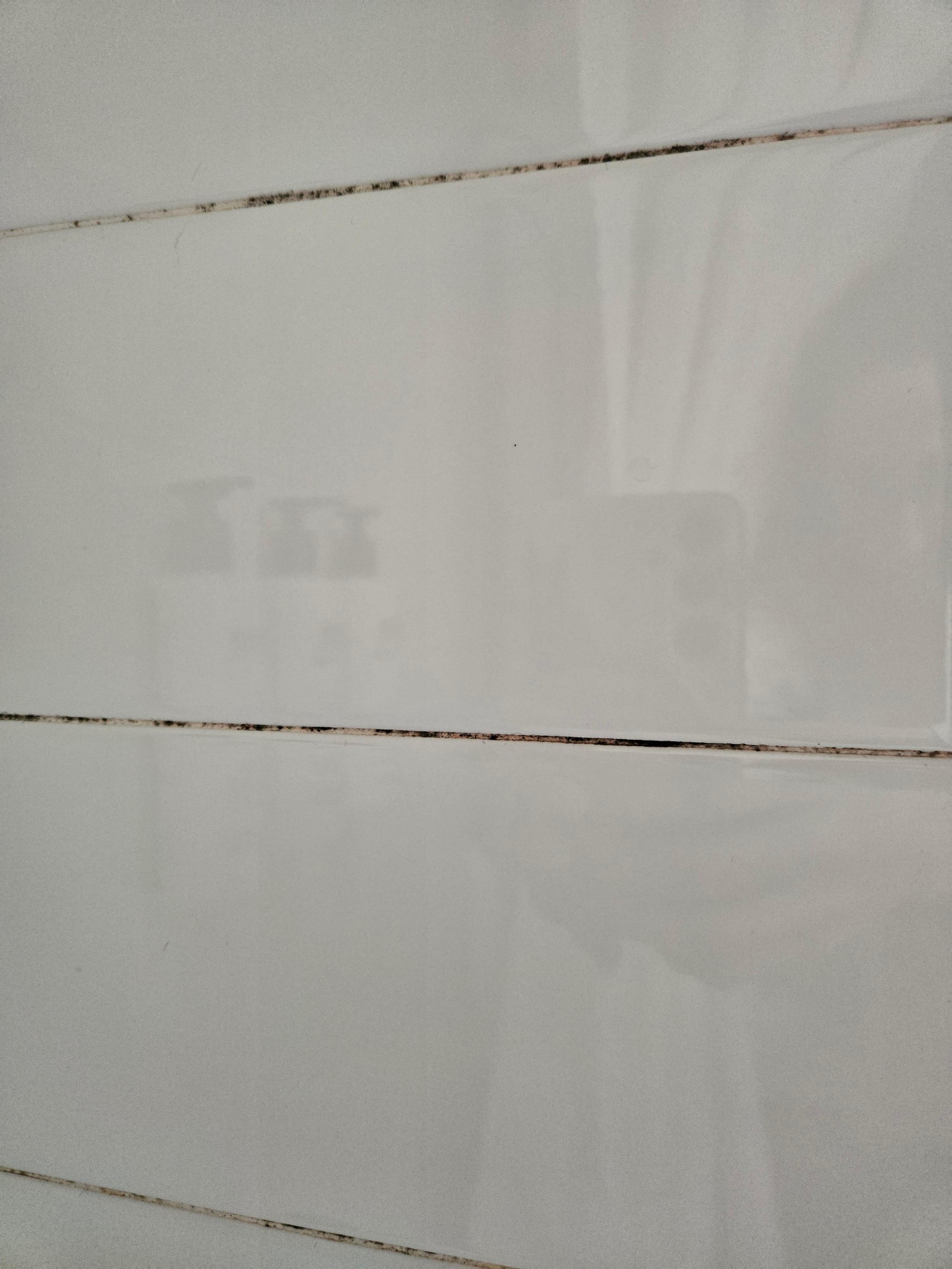 Mold in the shower