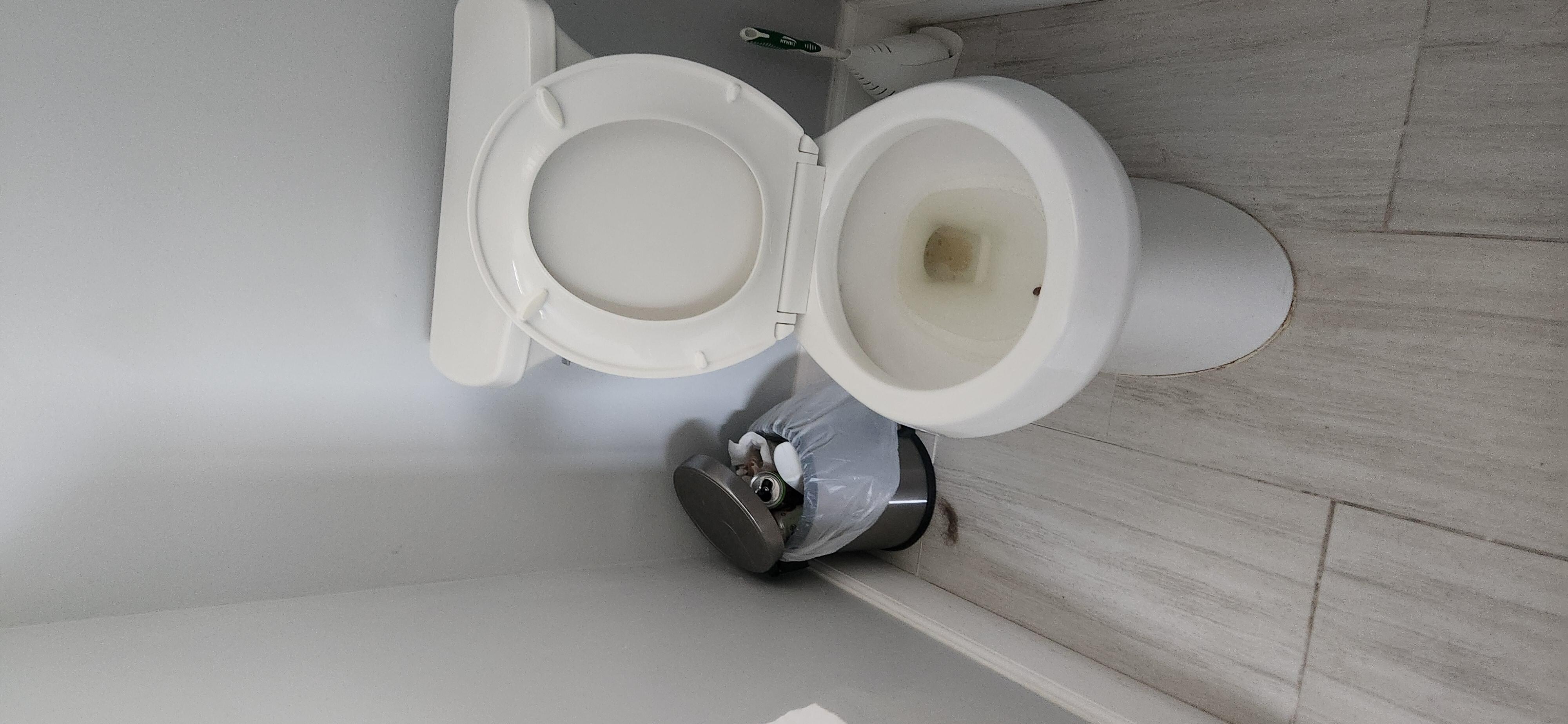 The bathroom with full trash can and unflushed