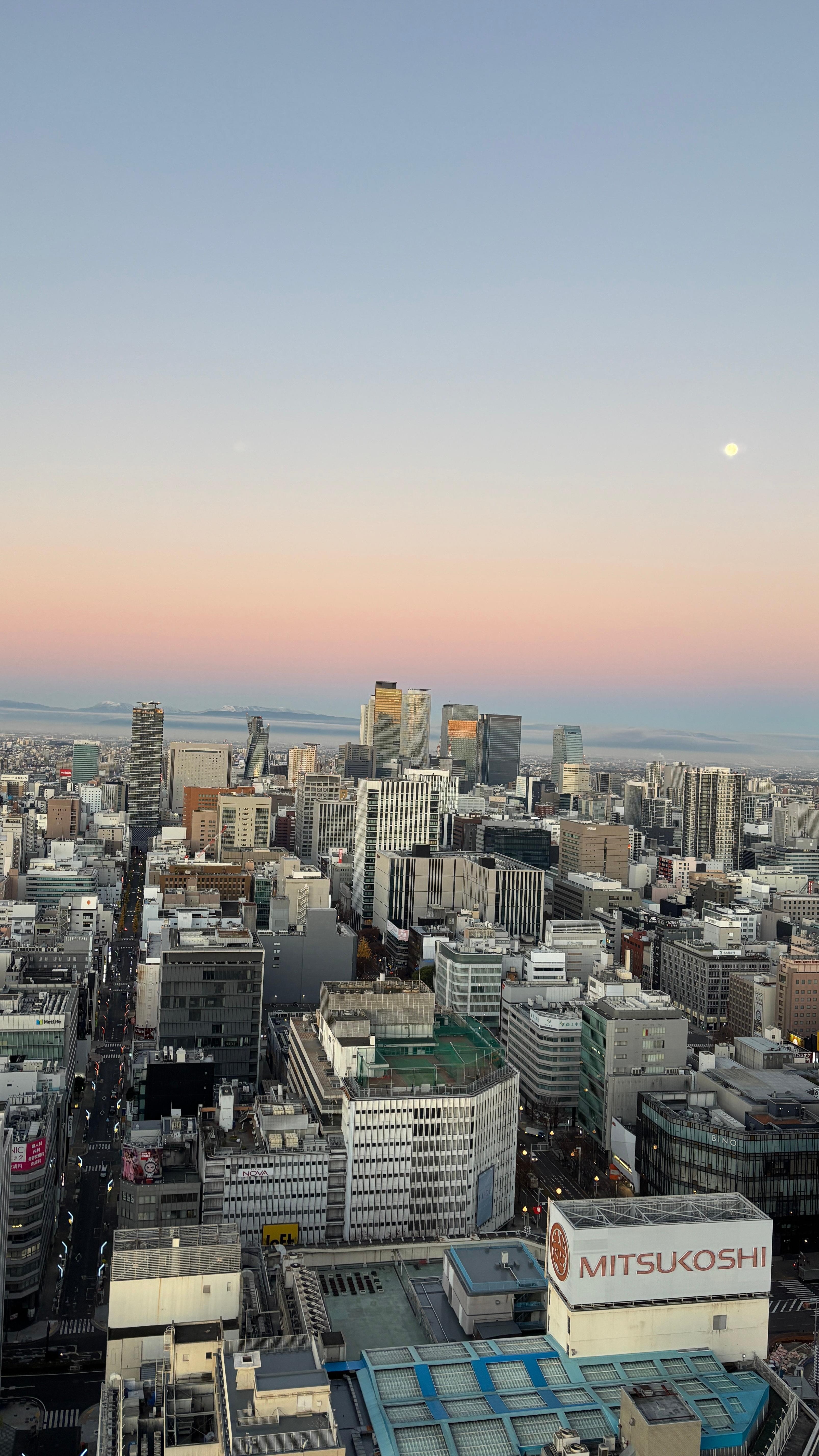 Early morning view from the room