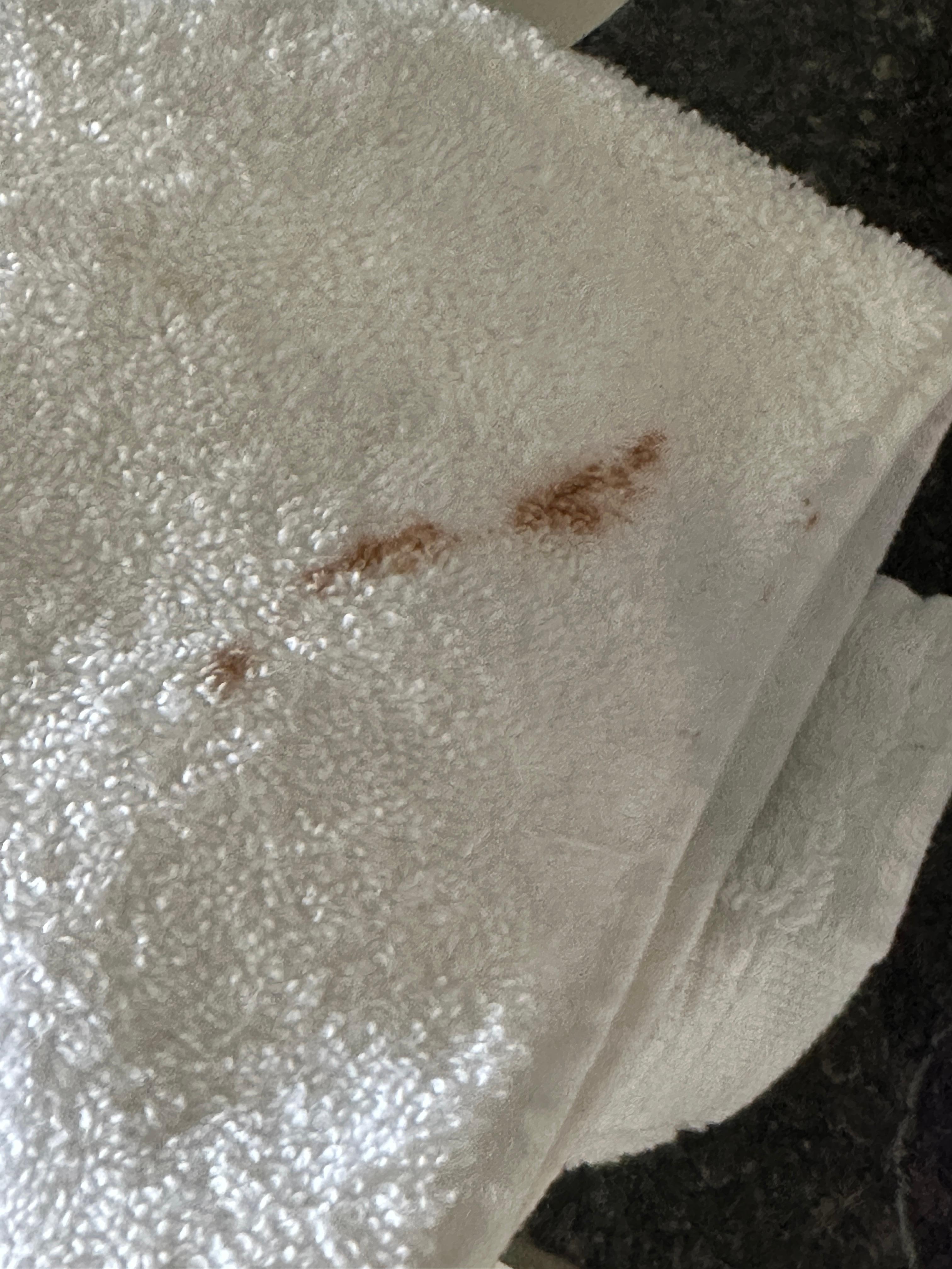 Makeup stained towel 