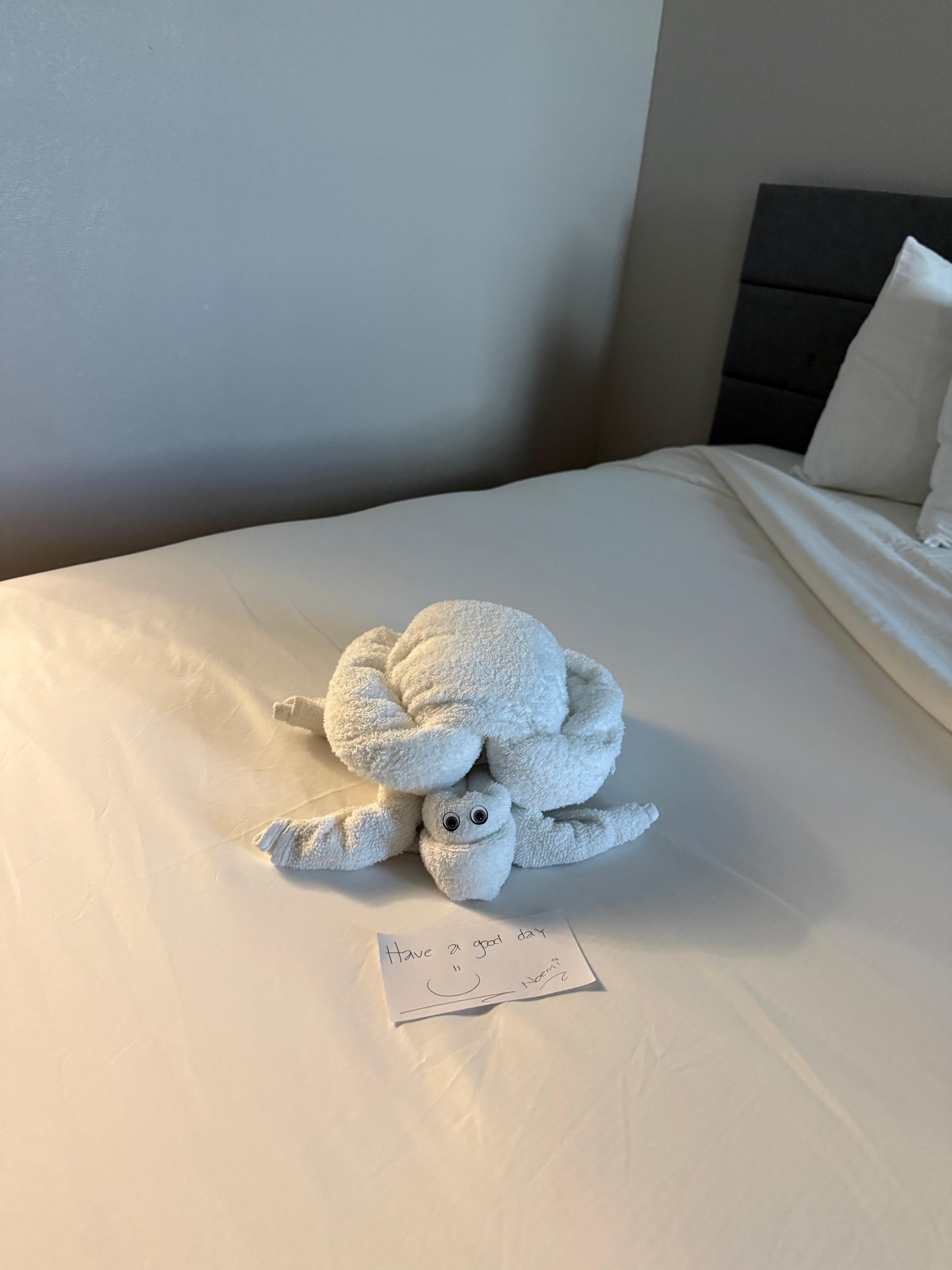 Nice little surprise on our bed from Our cleaning lady Noemi!  