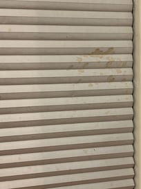 Dirty blinds in kitchen.