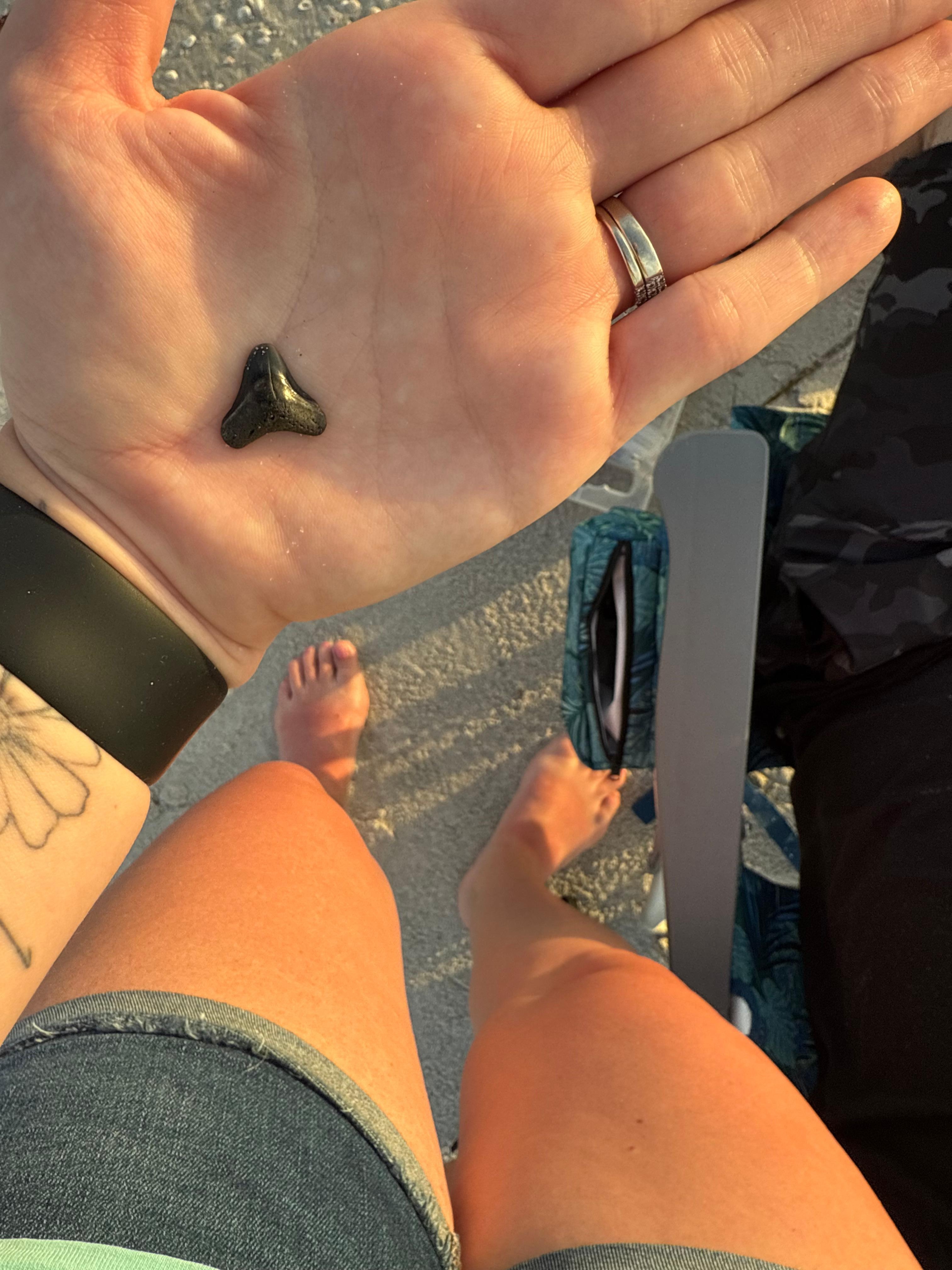 Shark teeth hunting was great!