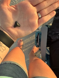 Shark teeth hunting was great!