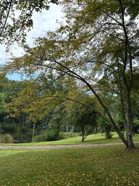 View from the front porch