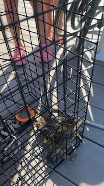 Family showed kids crabs they caught