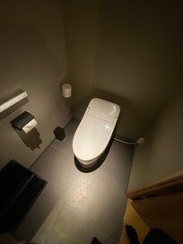 Grandiose fancy Toilette