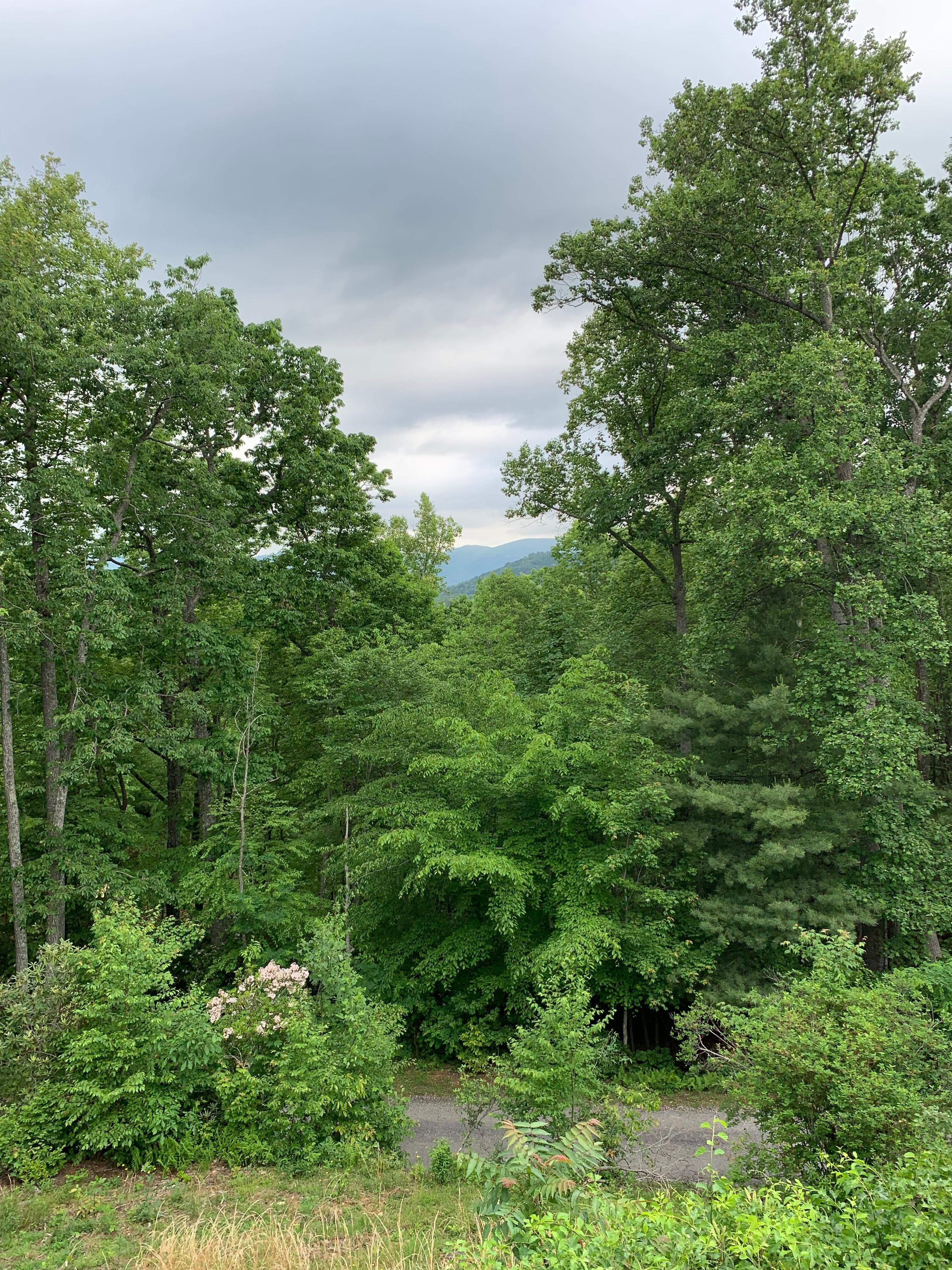 Deck view