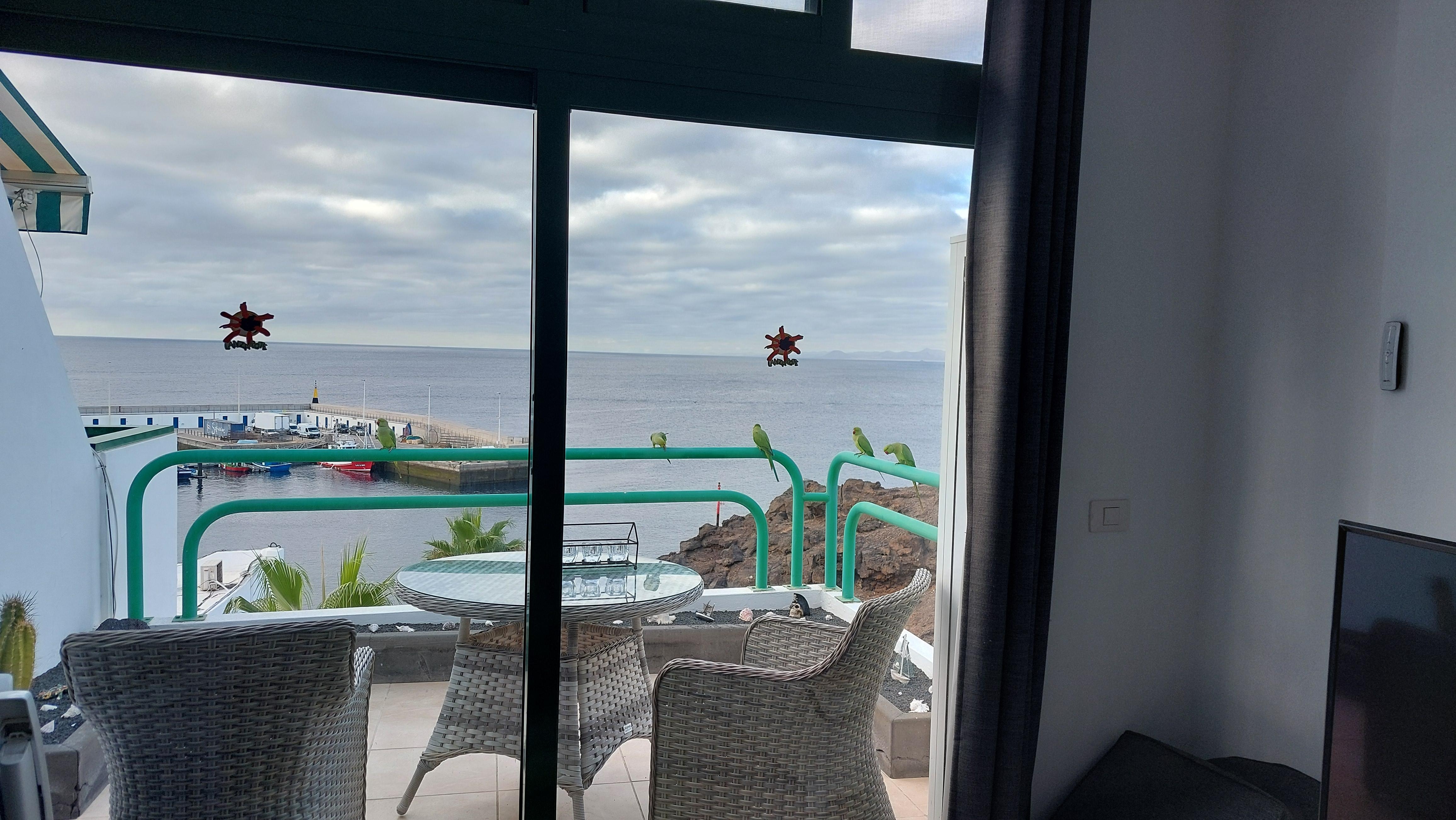 Early morning visitors.