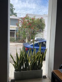 View from breakfast room