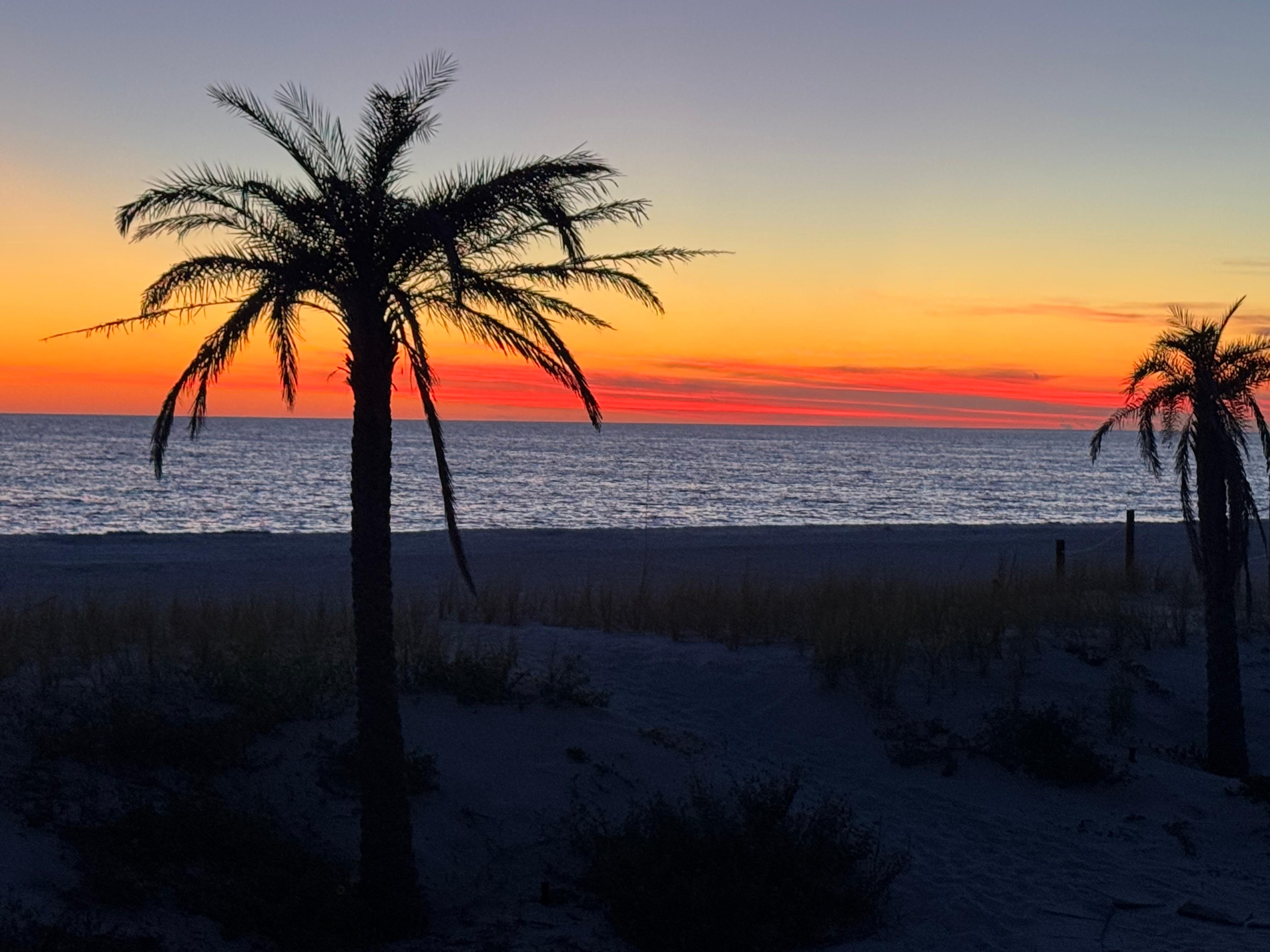 From the first floor balcony 