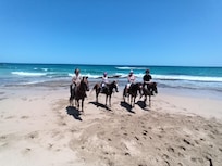Manati Horseback Riding was the cherry on top of our trip, if you're thinking about booking it DO IT! One of the most special experiences for our family ❤️