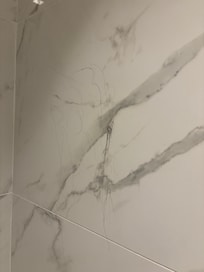 Hairs on the shower wall