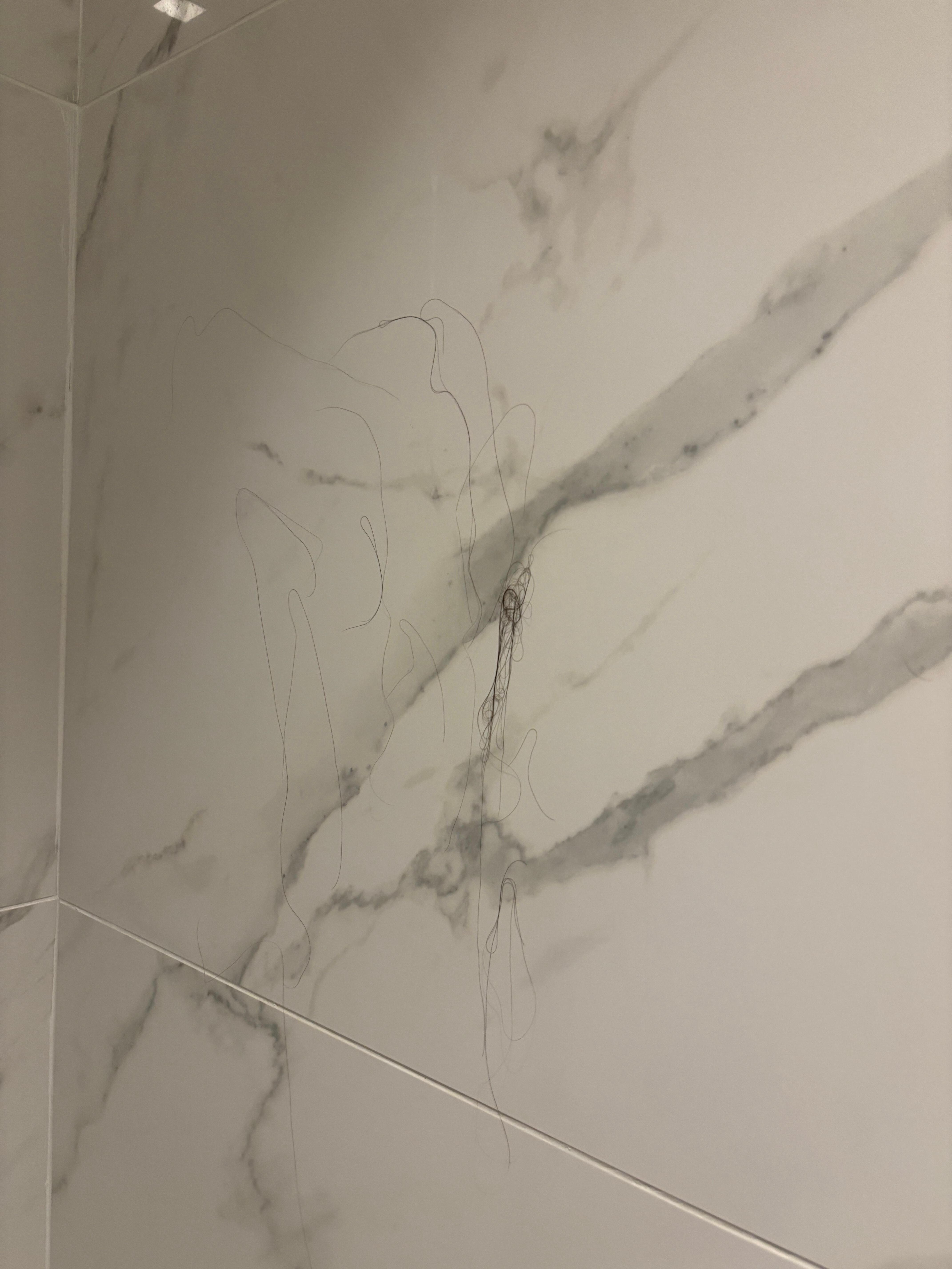 Hairs on the shower wall