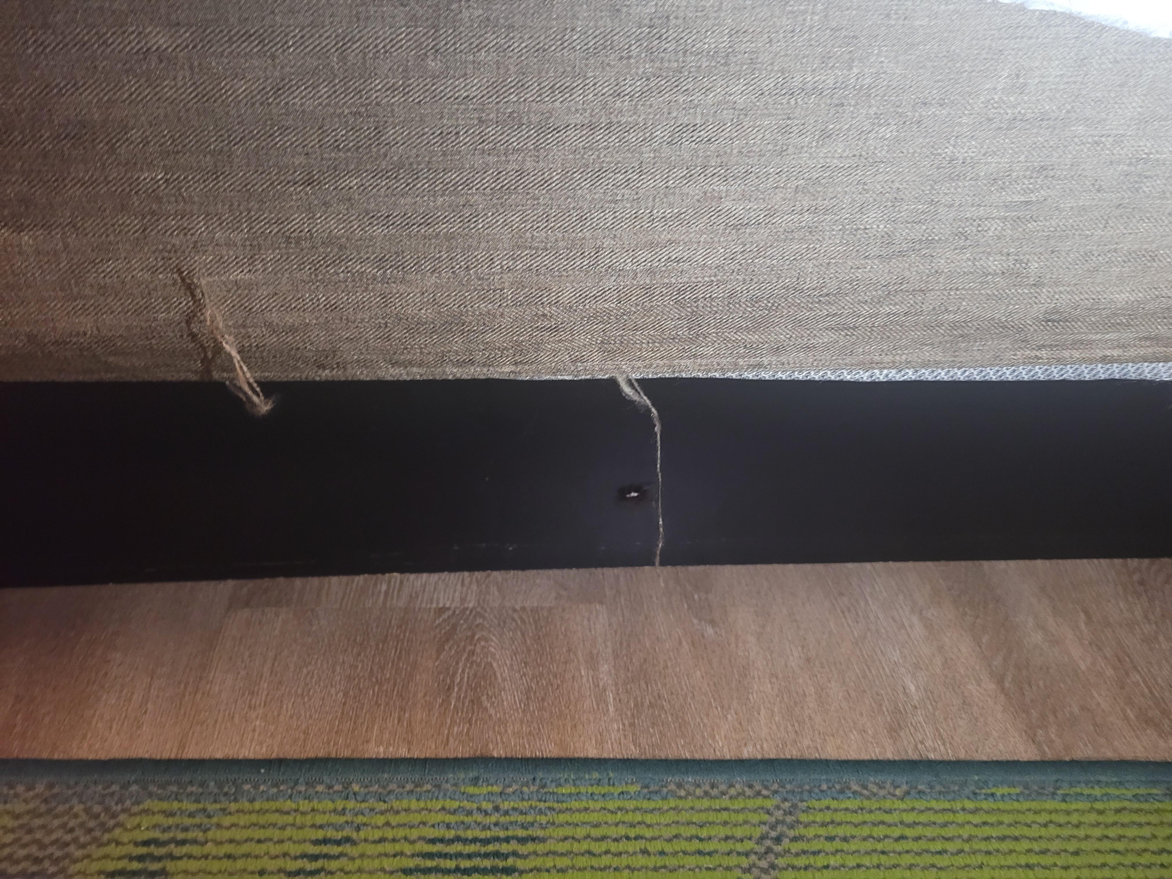 Roach on bed crawling