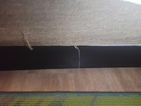 Roach on bed crawling
