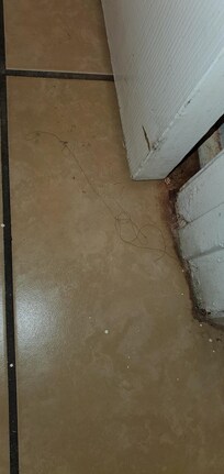 Hair and dirt on the floor corners.