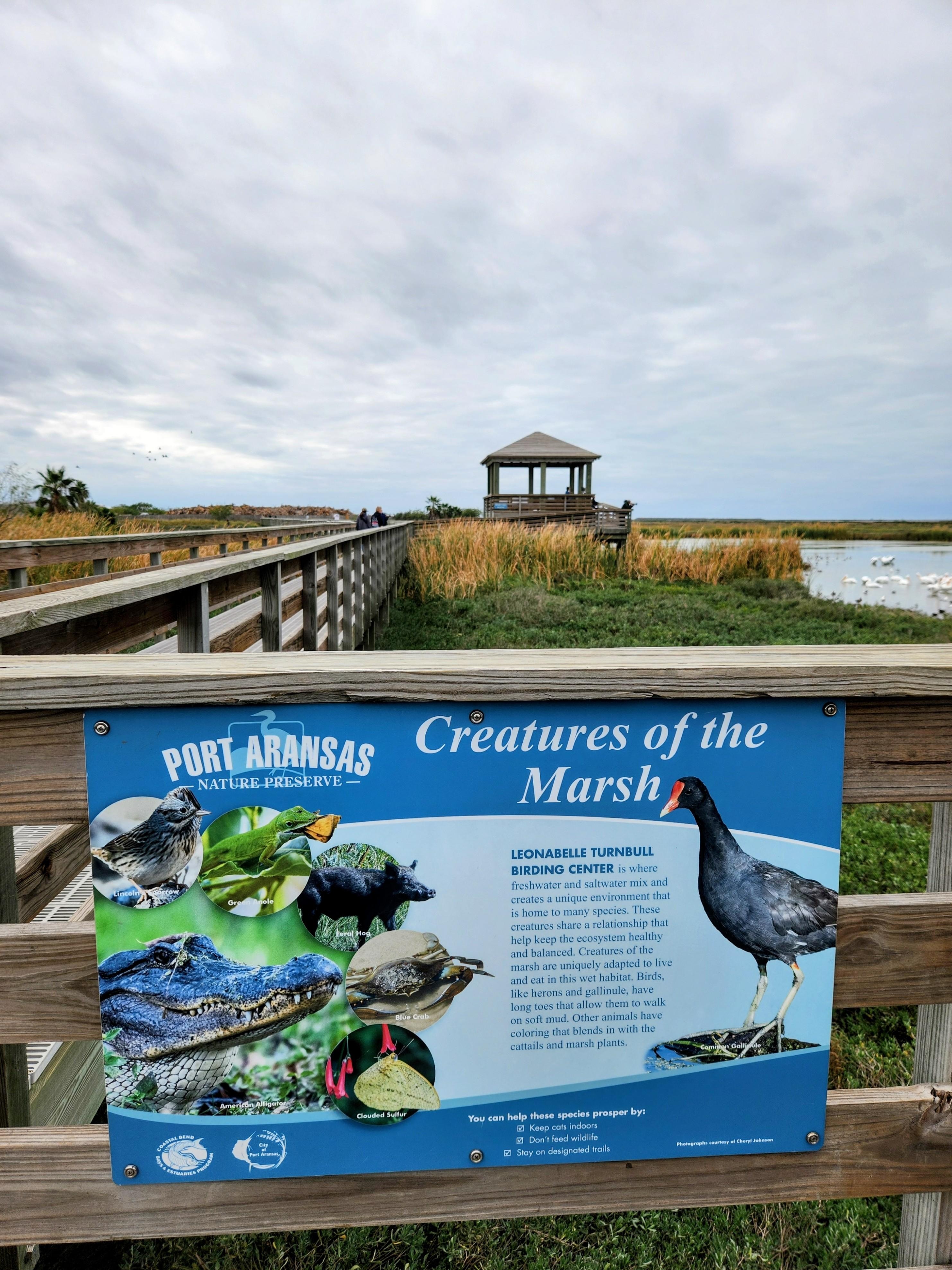 Great birding nearby