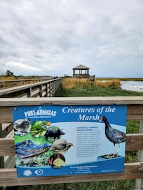 Great birding nearby