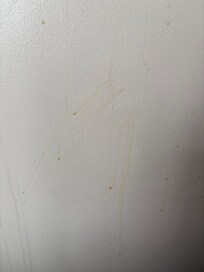 Something on wall next to bed not cleaned