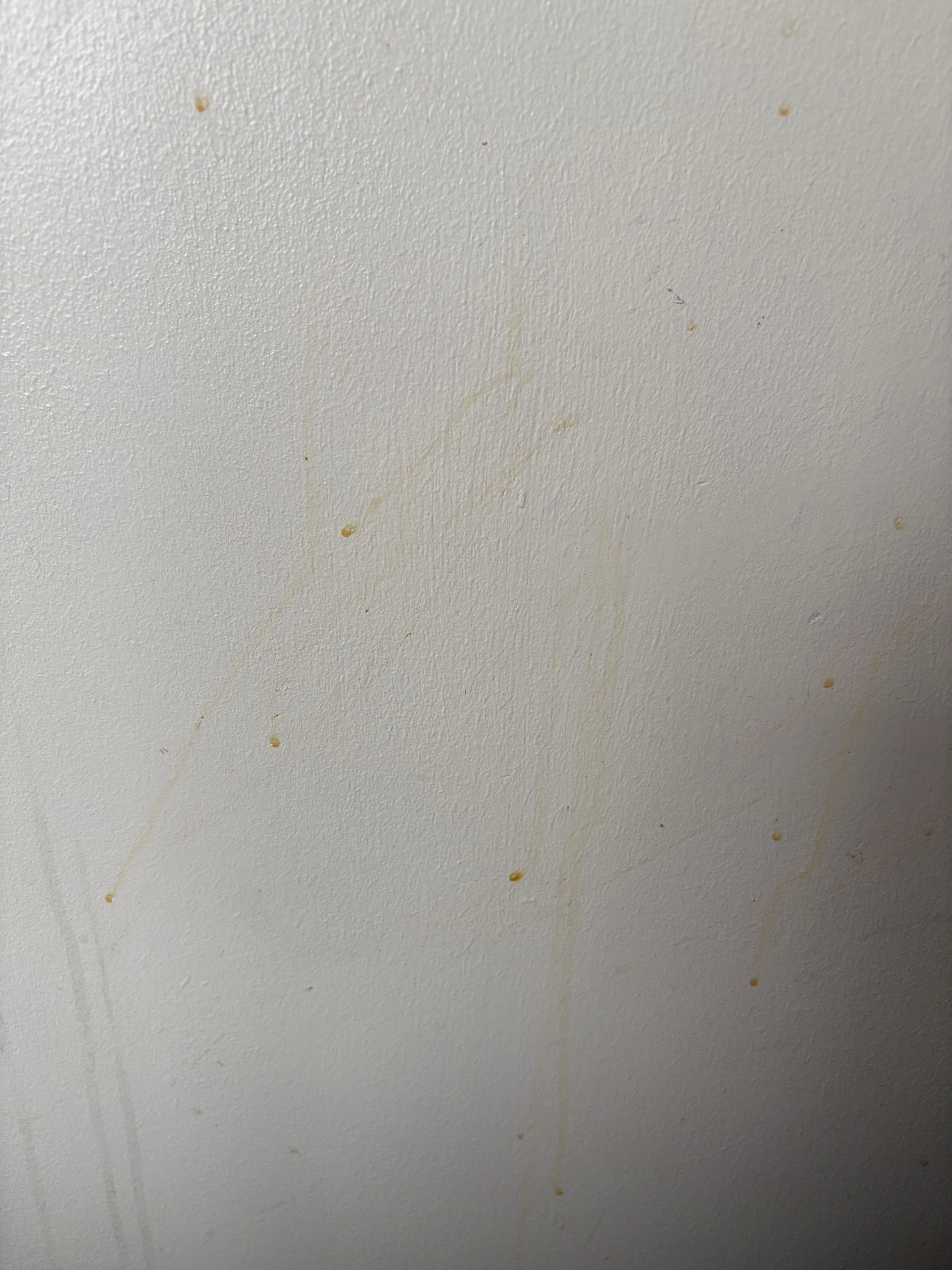 Something on wall next to bed not cleaned
