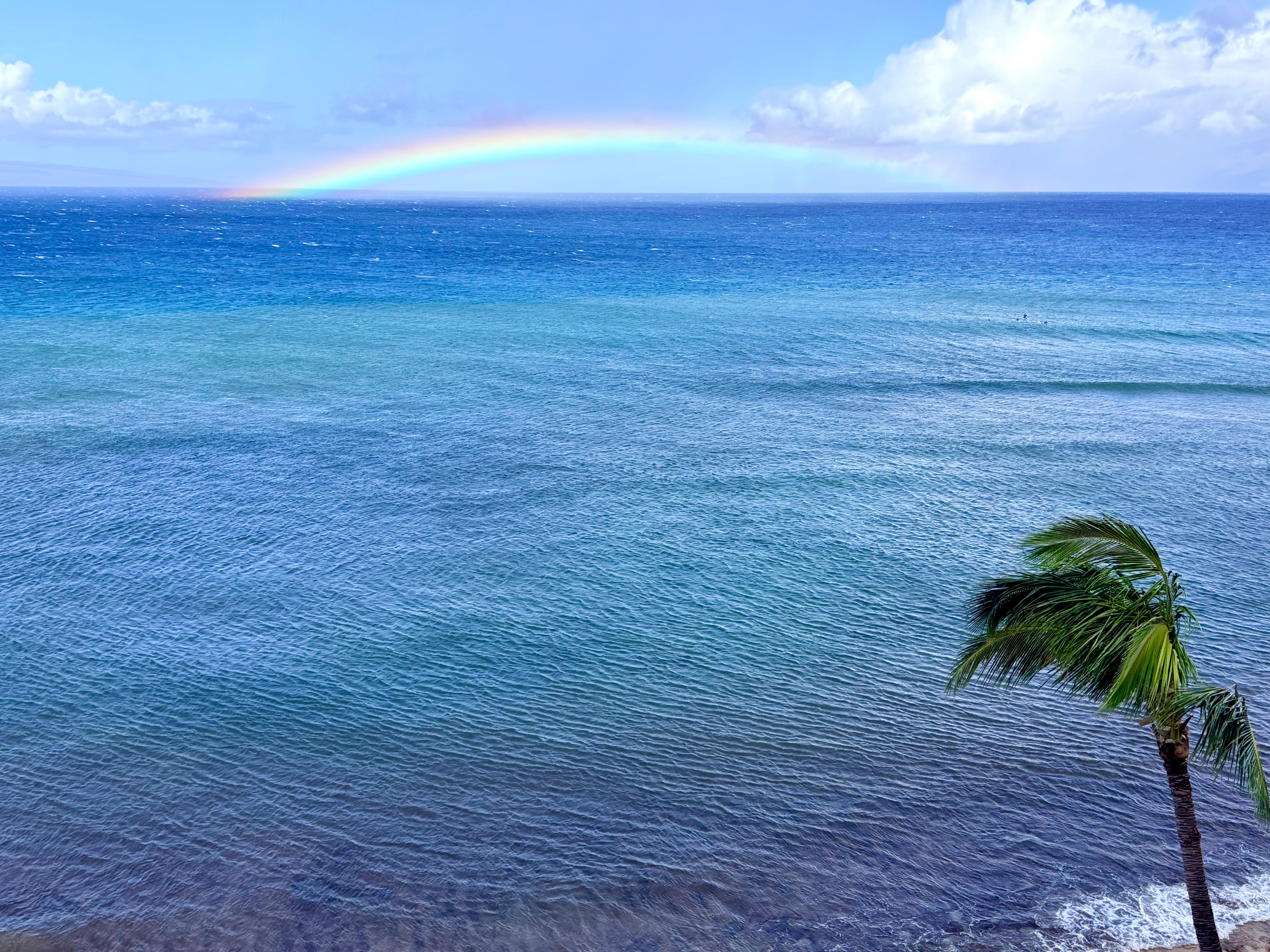 So many rainbows. Again, this is from the lanai.