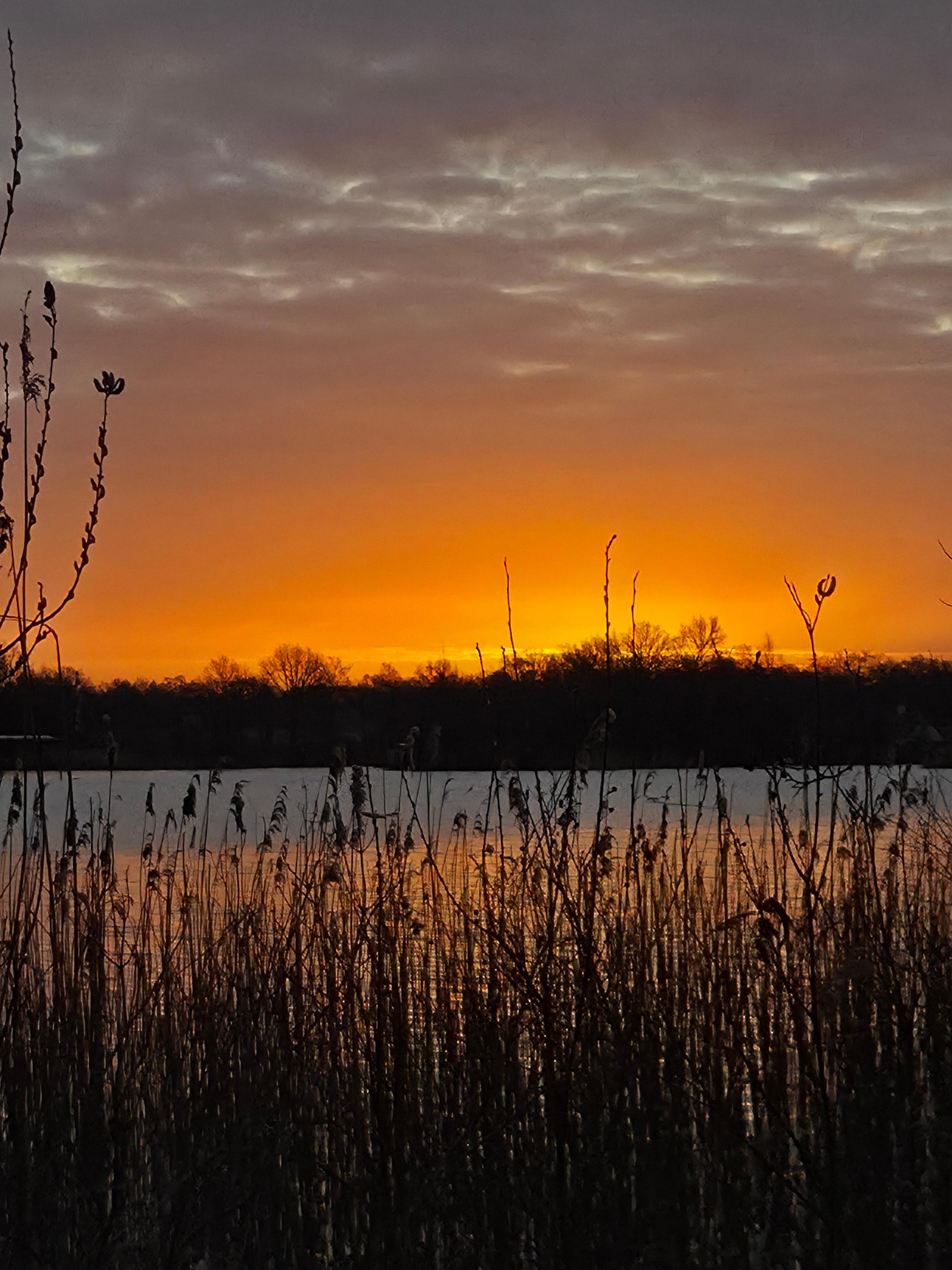 Op korte afstand van het appartement ligt het Wijde Blik met de Dirck A. Lambrechtskade. Een heel mooi pad met daarop een vogelhut. Super om de zon op te zien komen. 