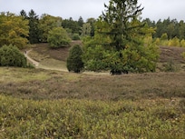 Misseldorfer Heide, zur Zeit verblüht, aber dennoch wunderschön