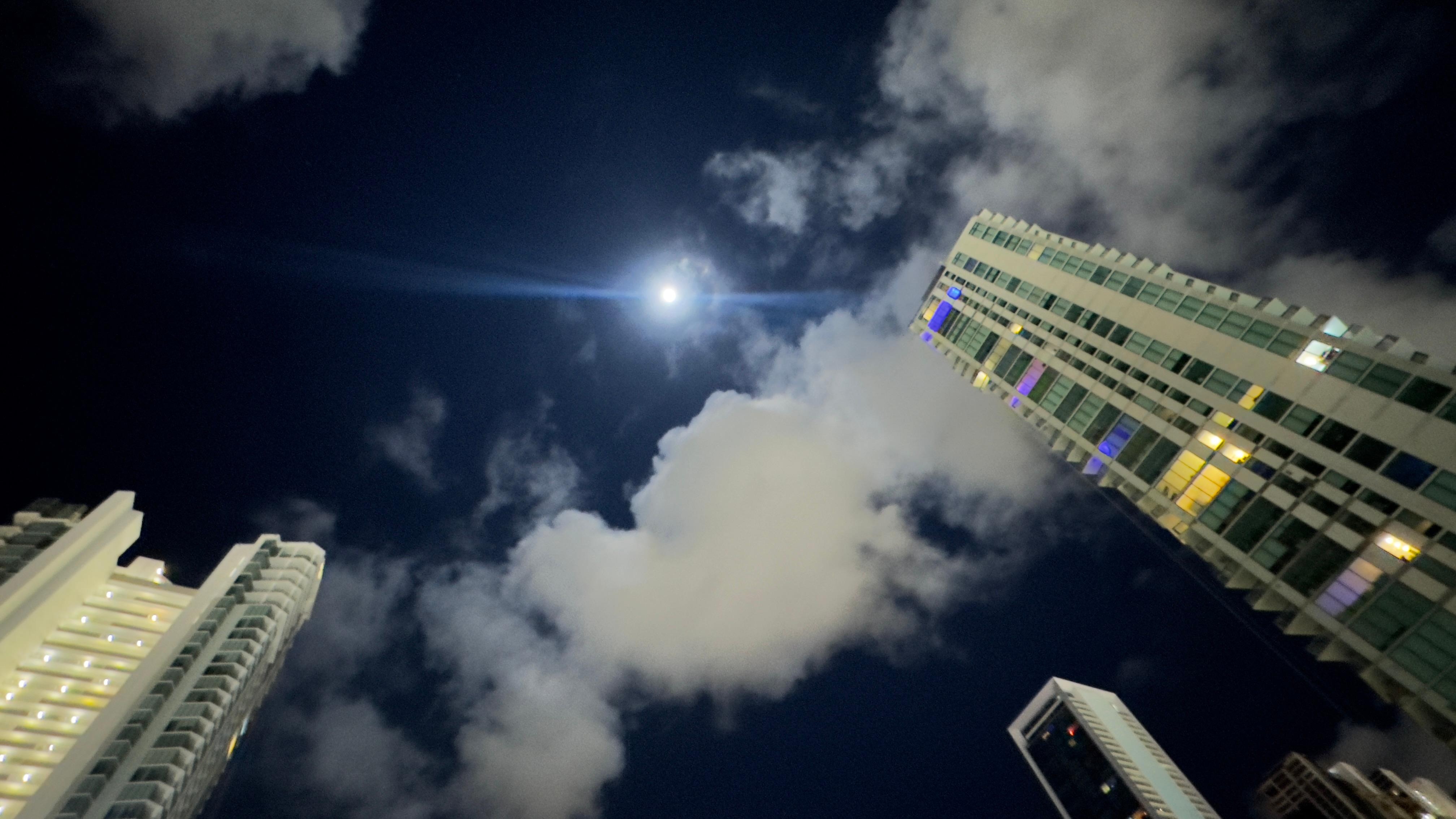 Look Up and be Thankful