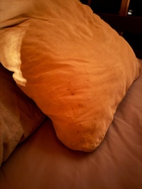 Linens were clean! Throw pillows were not.