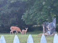 View from back porch