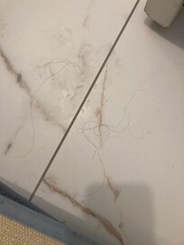 Hair on floor, not ours.