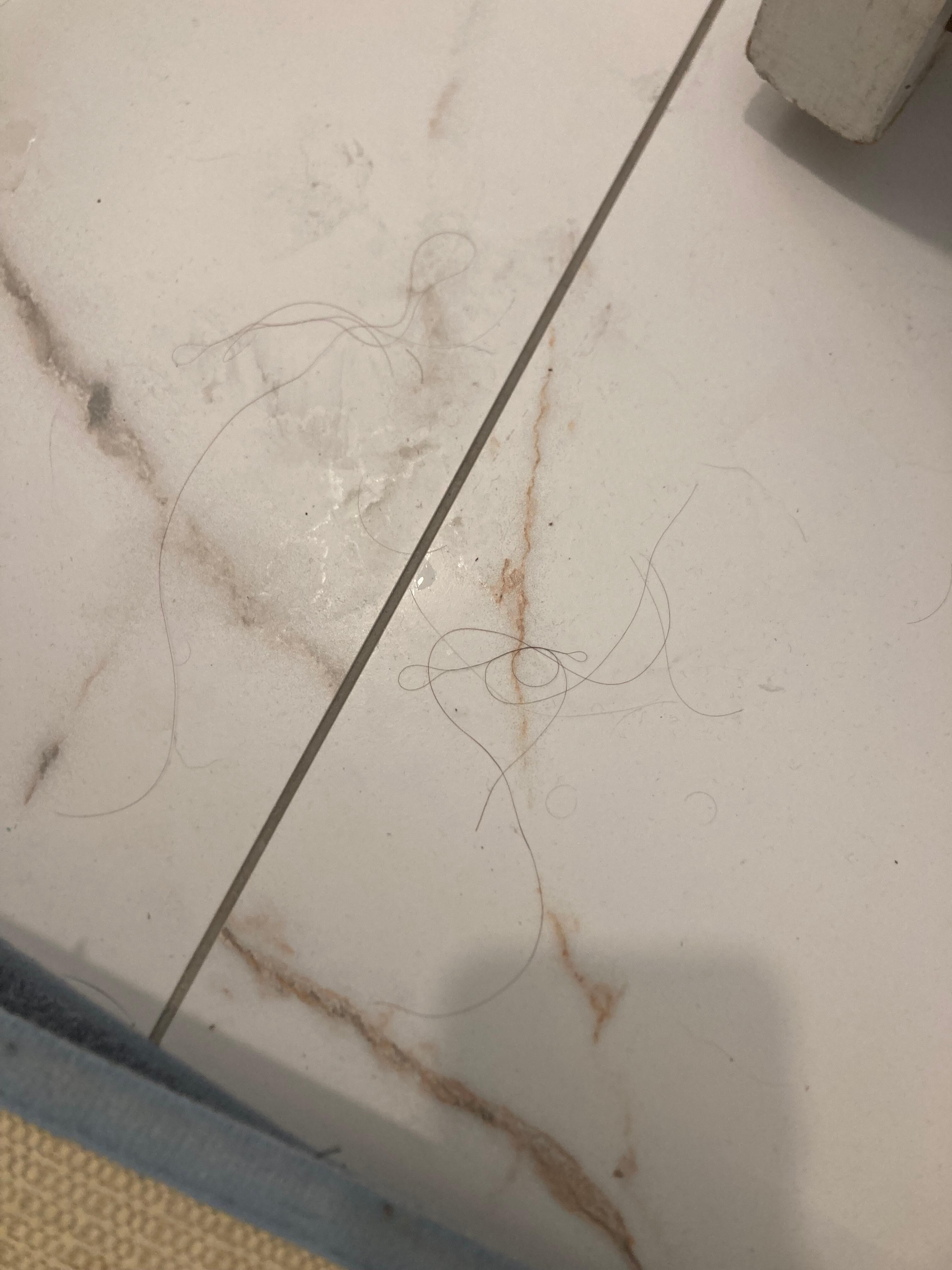 Hair on floor, not ours.