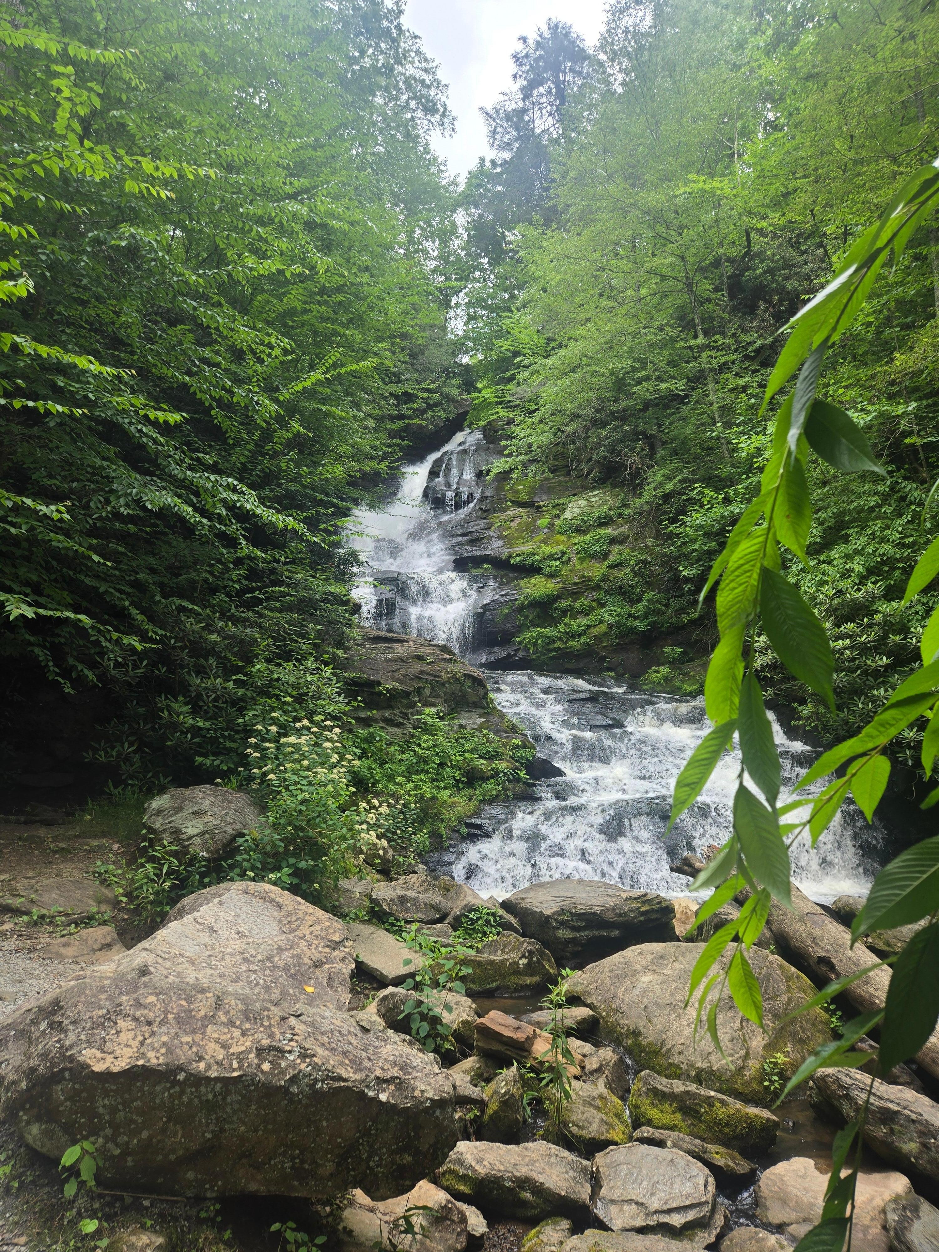 Mud creek waterfall close by. The start to a great hiking trail. 
