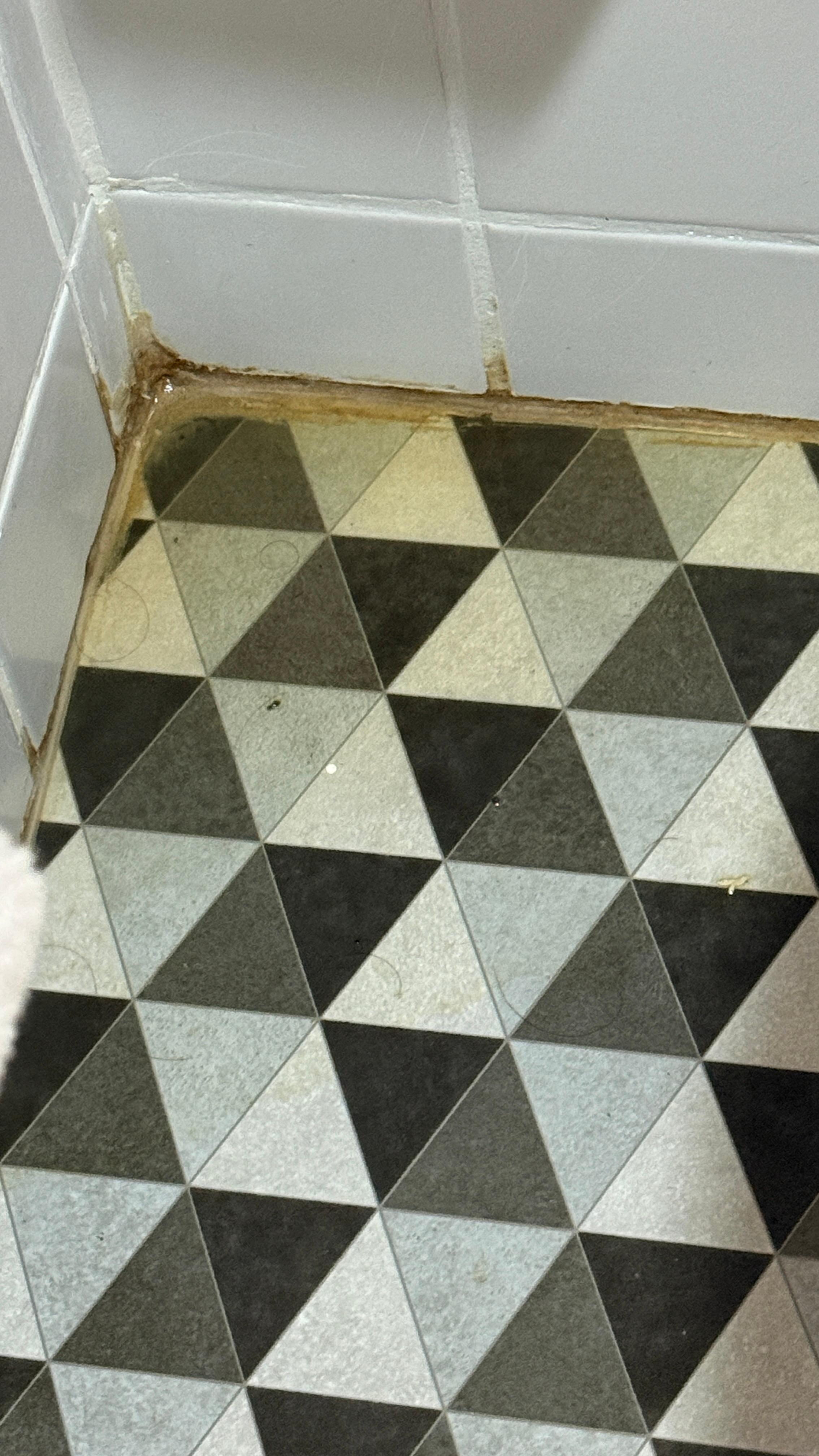 Poça de urina no canto do banheiro