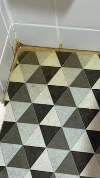 Poça de urina no canto do banheiro