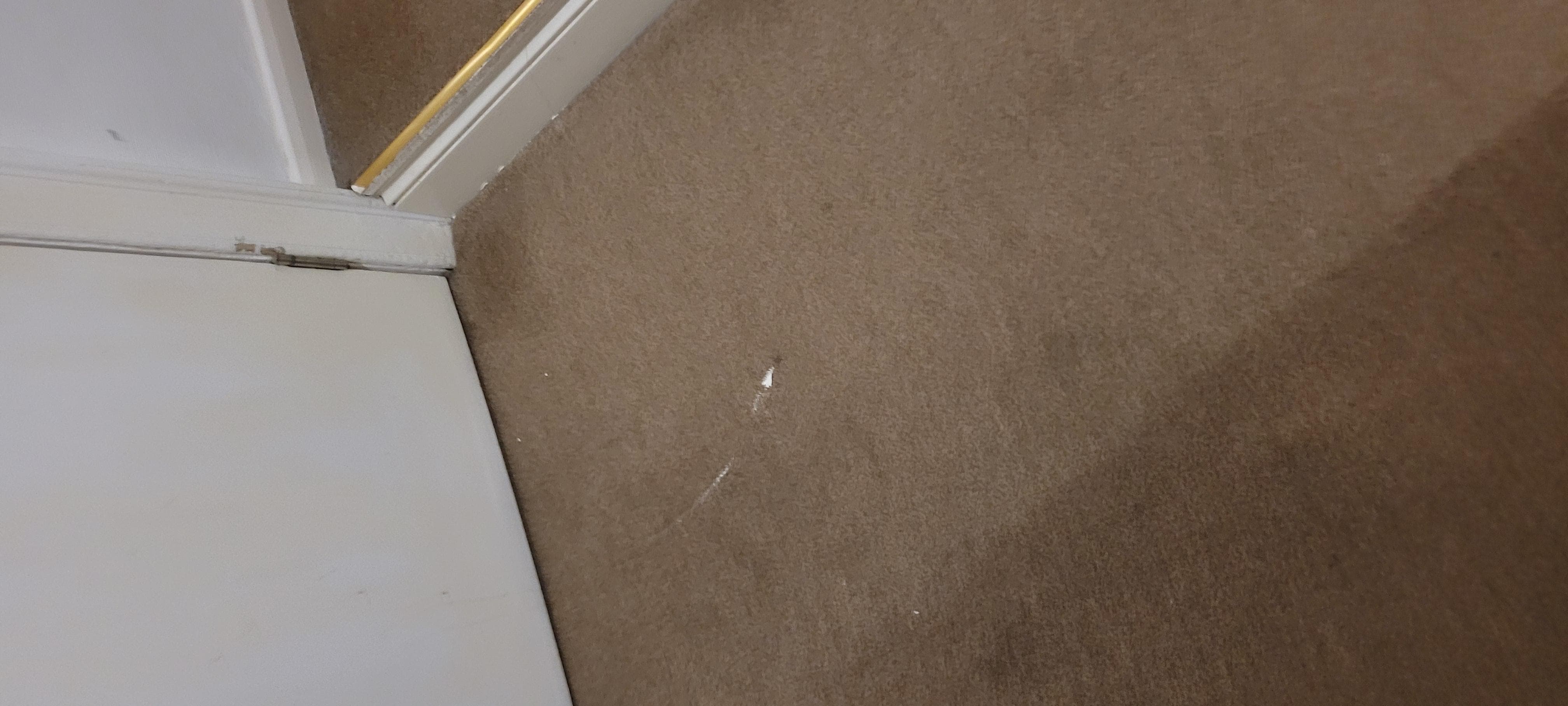 Paint on carpet