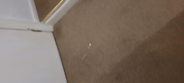 Paint on carpet