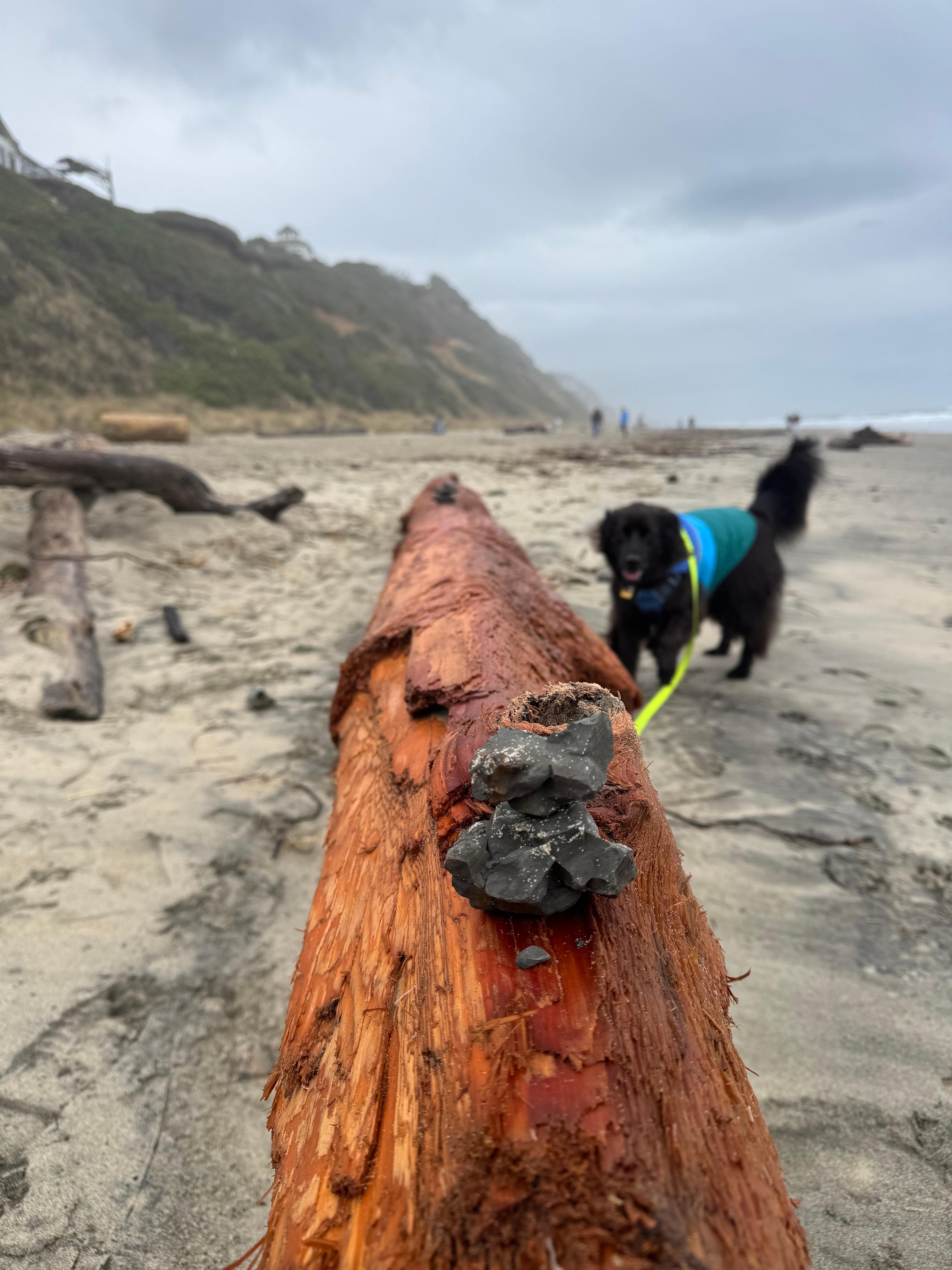 Someone was having fun with the rocks!