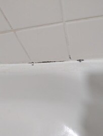 Mold