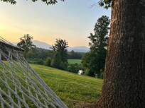 Hammock view