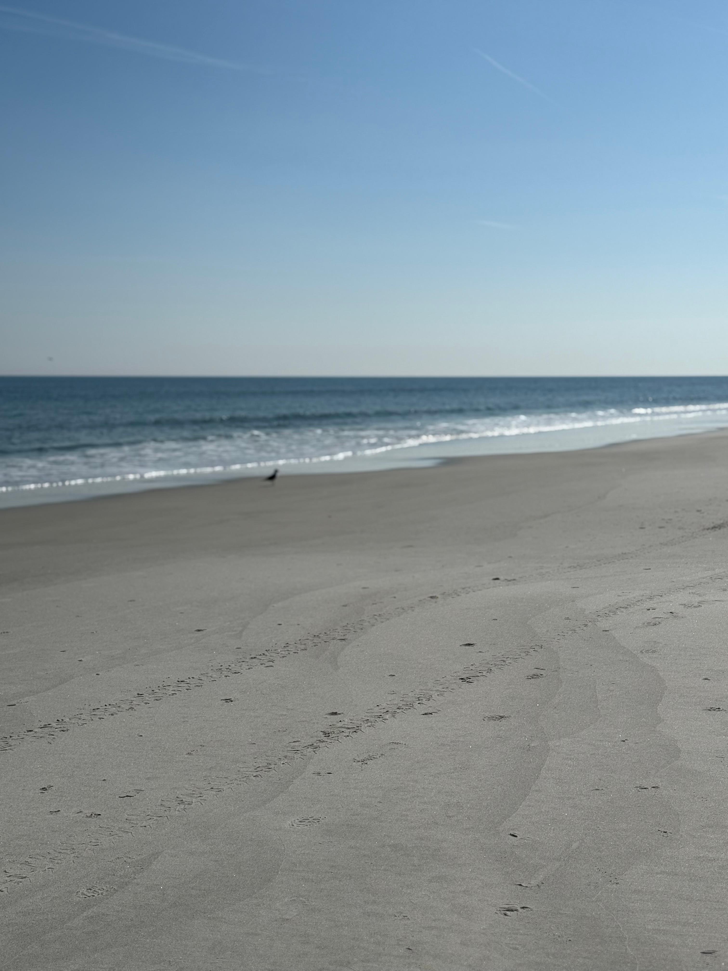 Beautiful beach - I live in Tampa Florida &!love the beach, so this was perfect for our stay