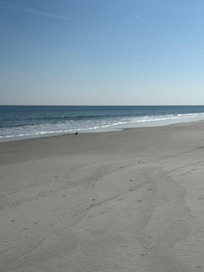 Beautiful beach - I live in Tampa Florida &!love the beach, so this was perfect for our stay