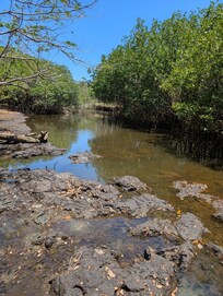 River behind home (April dry season)
