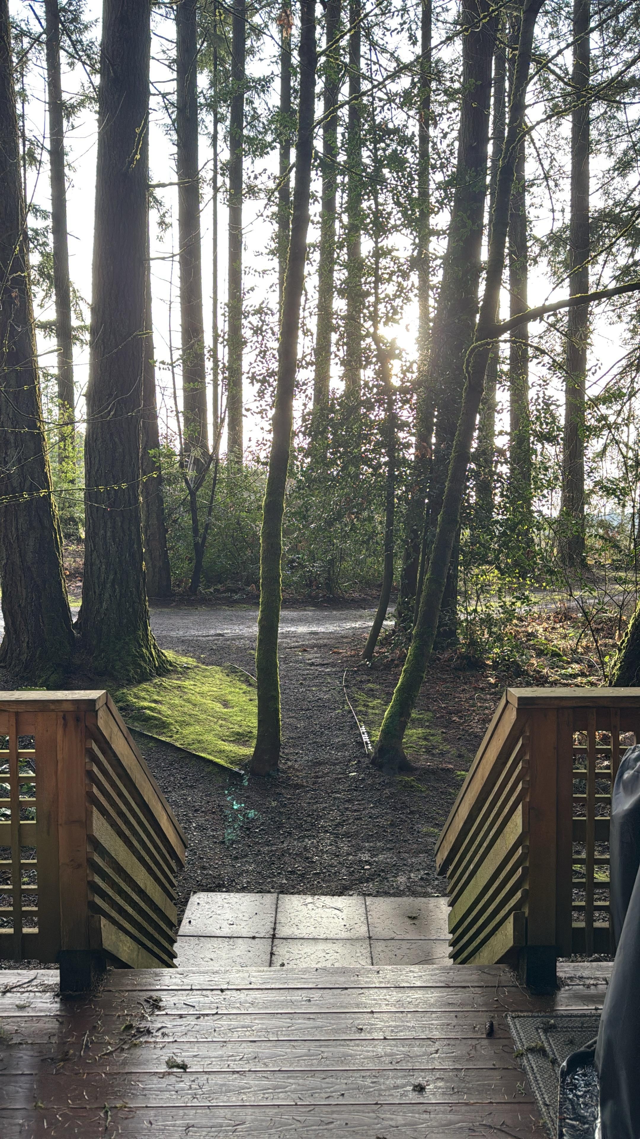 Private loop driveway, can barely see main house . 