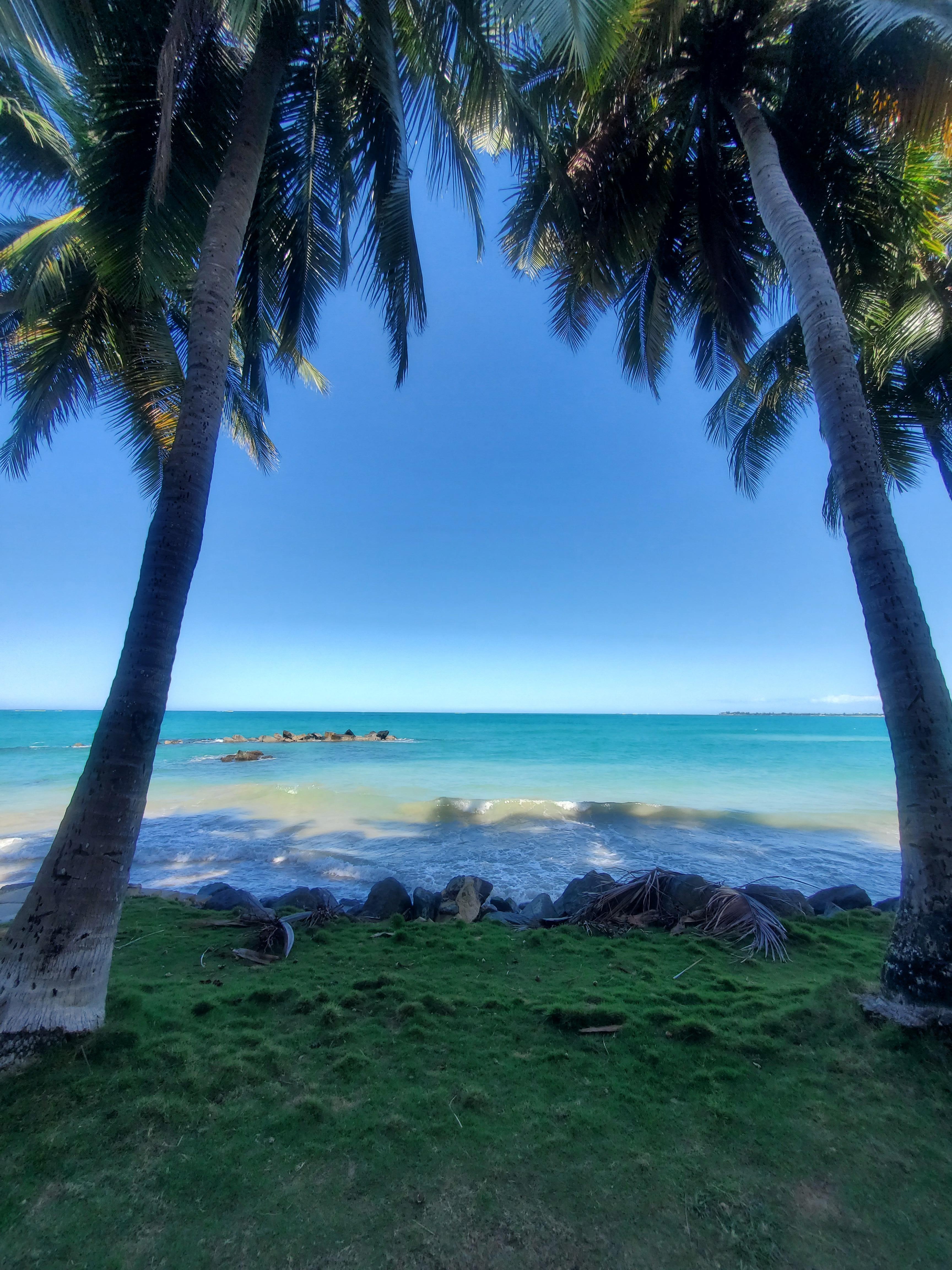 View from right outside the complex. 