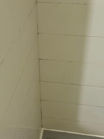 Shower wall
